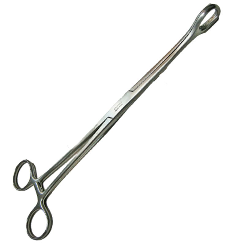 Pinza forester anillo grande porta esponja recta hp
